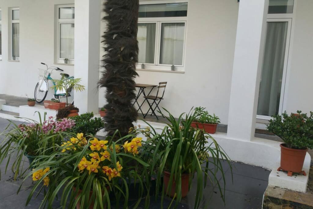 Albergue Dos Cagareus II 아베이루 외부 사진